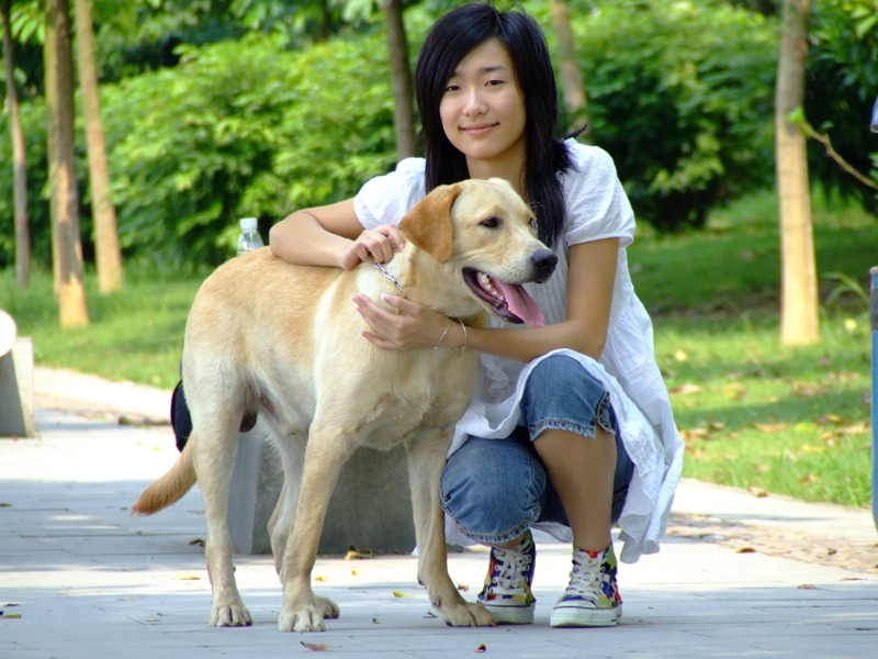 风中的绿叶的第一张照片--安阳相亲服务中心