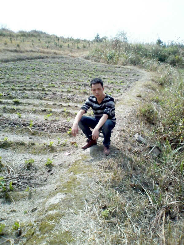 你好的第一张照片--安阳相亲服务中心