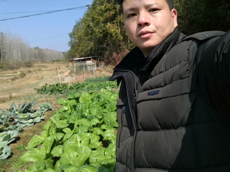 倔强的驴的第一张照片--安阳相亲服务中心