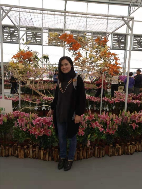 紫苏的第一张照片--安阳相亲服务中心