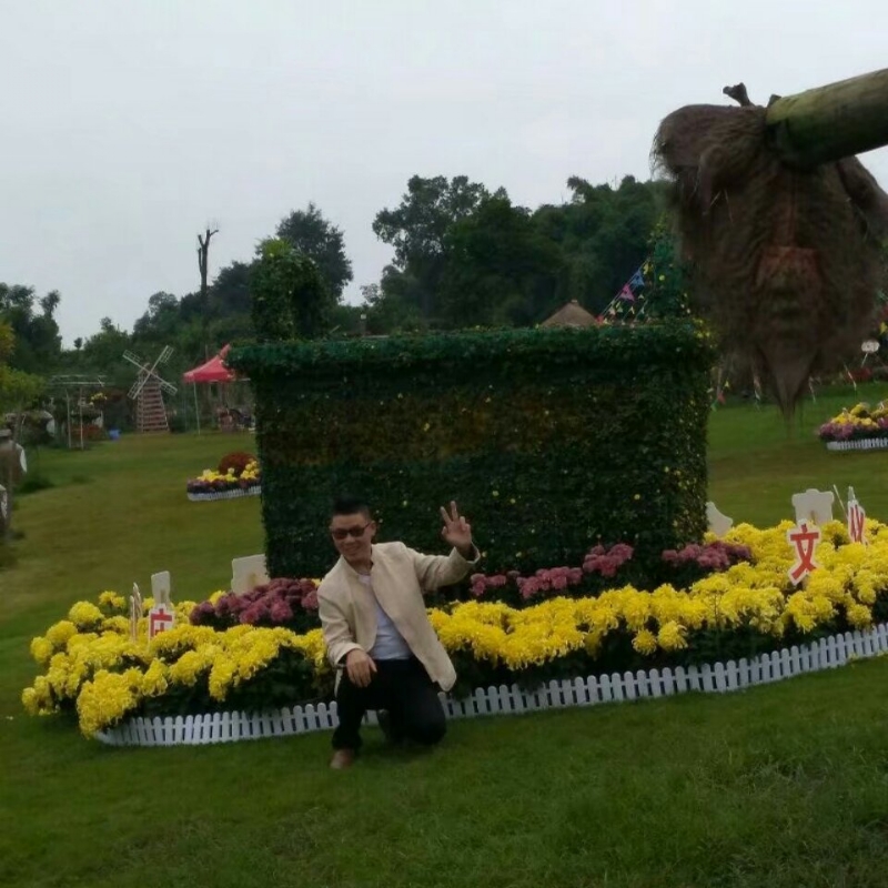 春风里^O^任徜徉的第一张照片--安阳相亲服务中心