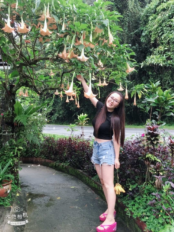 离异单身无子的第二张照片--安阳相亲服务中心