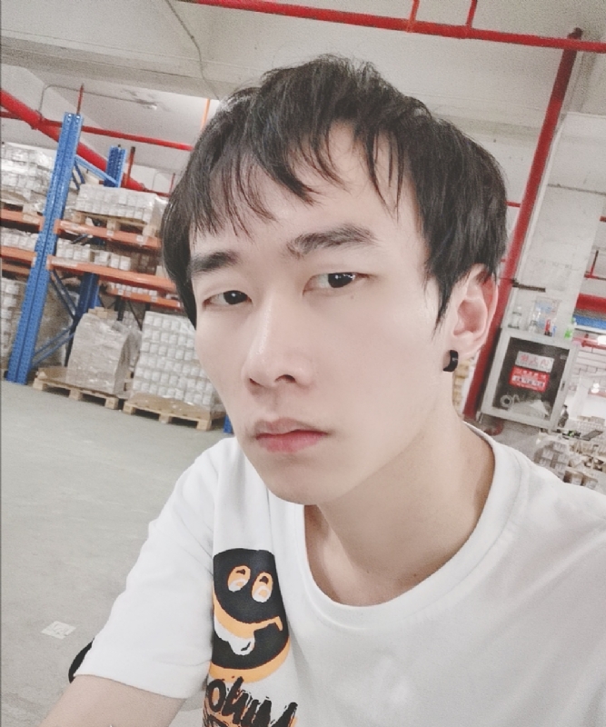 巷子里的猫的第一张照片--安阳相亲服务中心