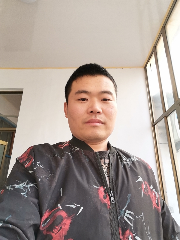 会飞的猪的第一张照片--安阳相亲服务中心