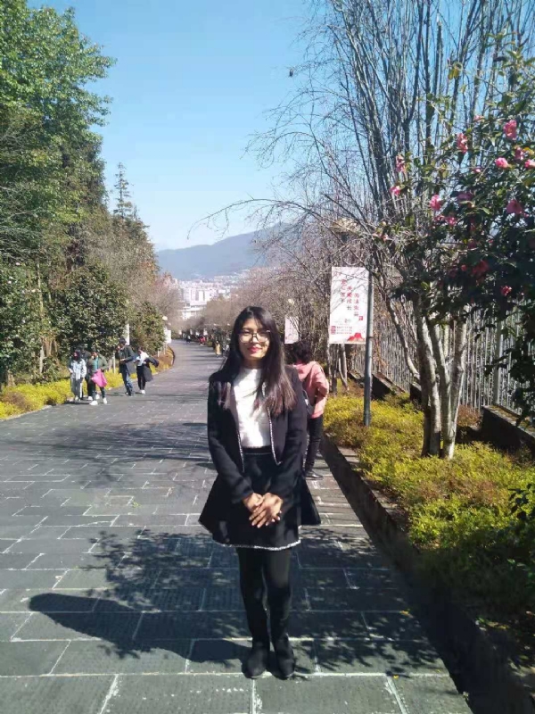 窗台上的桔梗的第一张照片--安阳相亲服务中心