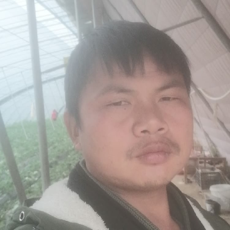 孤狼‘的第一张照片--安阳相亲服务中心