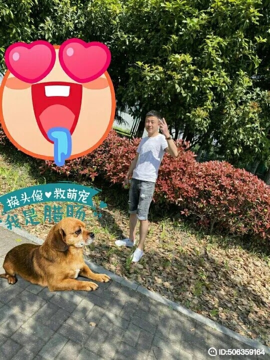 我若不坚强谁替我勇敢的第一张照片--安阳相亲服务中心