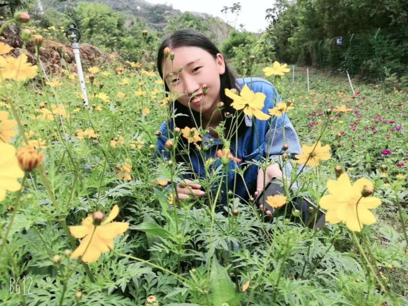 哈哈的第一张照片--安阳相亲服务中心