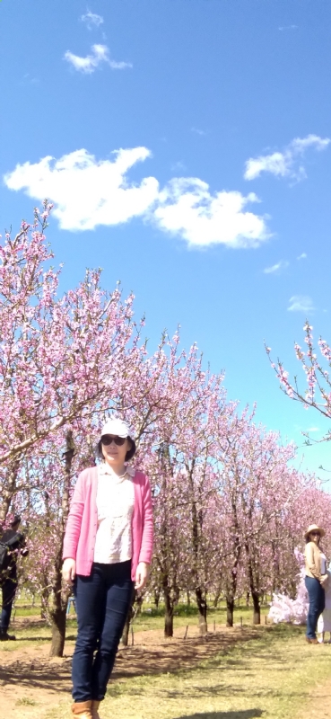 Grace的第二张照片--安阳相亲服务中心