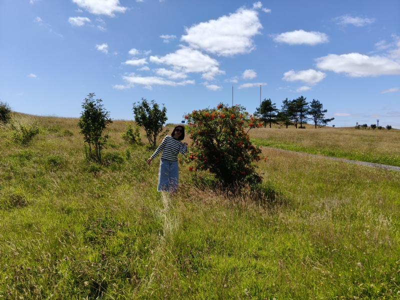 秋蝉的第一张照片--安阳相亲服务中心
