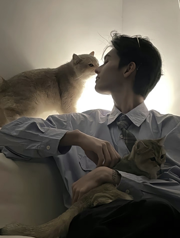 怪猫的第一张照片--安阳相亲服务中心