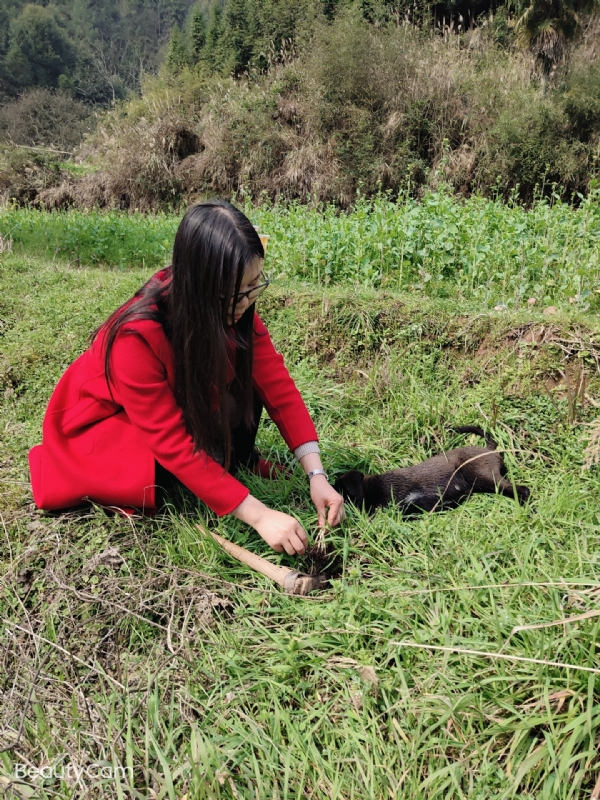 下一个春和秋的第一张照片--安阳相亲服务中心