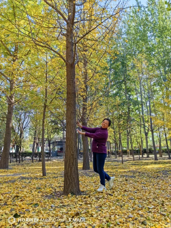 Shirley的第二张照片--安阳相亲服务中心