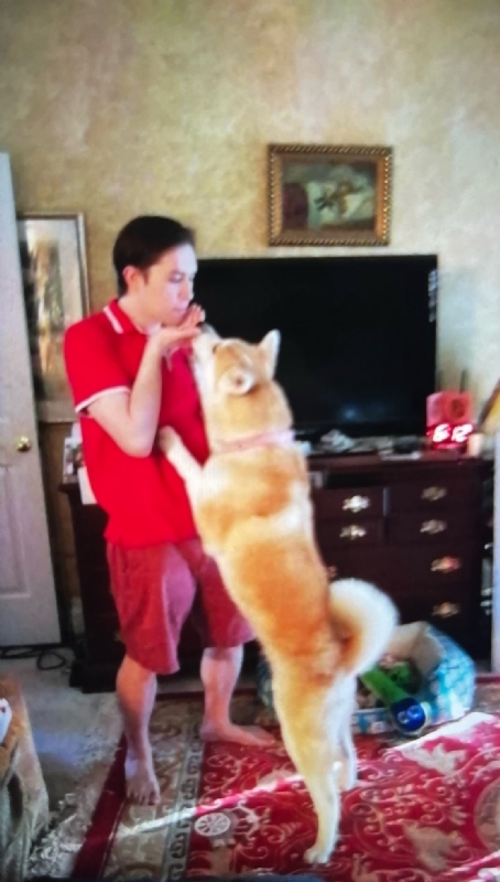 Leluch的第一张照片--安阳相亲服务中心