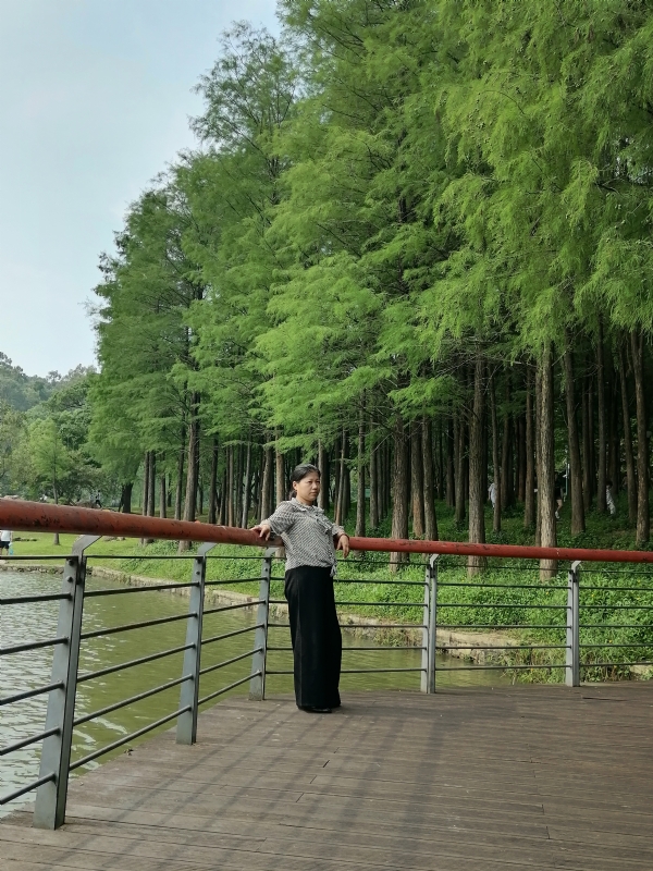 遗失的记忆的第二张照片--安阳相亲服务中心