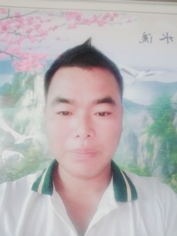 阳光男孩的第二张照片--安阳相亲服务中心