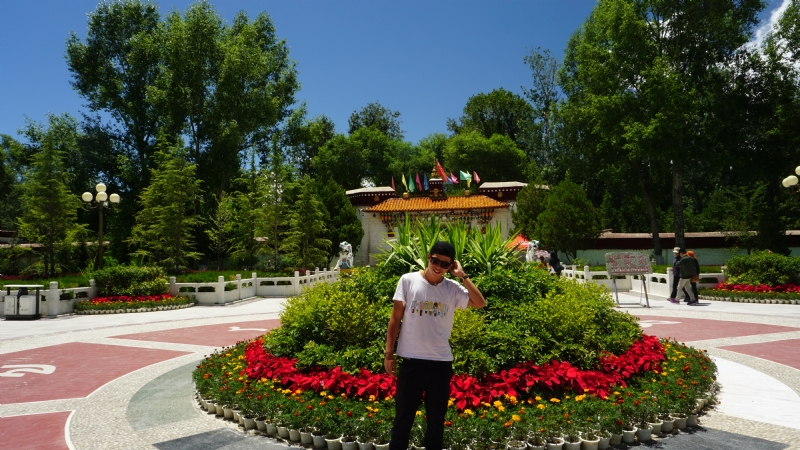 阿龙设计师的第四张照片--安阳相亲服务中心