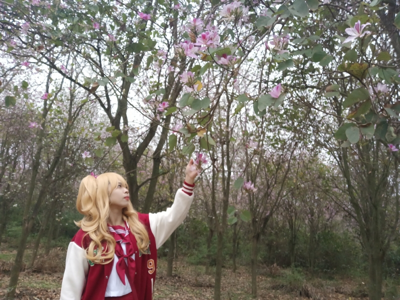 暮秋的第一张照片--安阳相亲服务中心