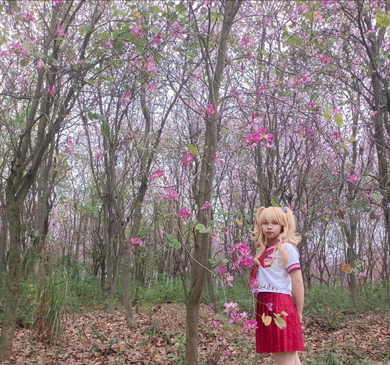 暮秋的第四张照片--安阳相亲服务中心