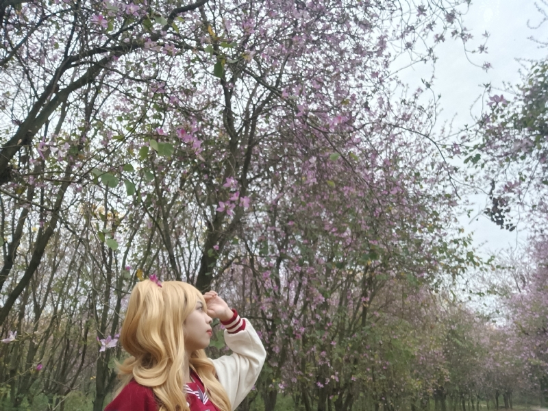 暮秋的第五张照片--安阳相亲服务中心