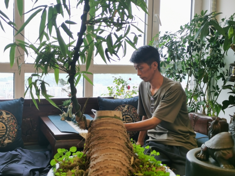 成个家的第一张照片--安阳相亲服务中心