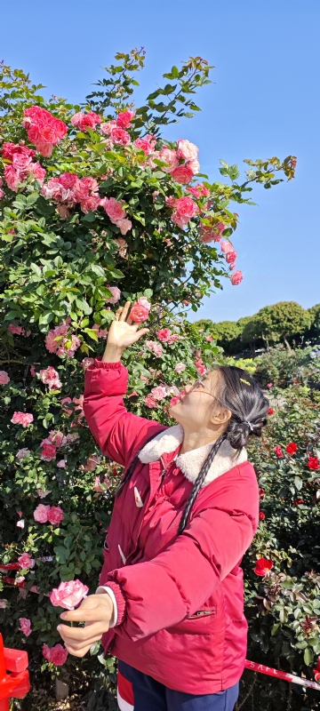 狗狗的第一张照片--安阳相亲服务中心